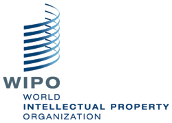 IP Diagnosis – новый инструмент ВОИС для бизнеса IP Diagnosis – новый инструмент ВОИС для бизнеса