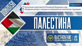 ПАЛЕСТИНА, 58-ая сессия СПЧ ООН ПАЛЕСТИНА, 58-ая сессия СПЧ ООН