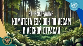 О 82-ом заседании Комитета по лесам и лесной отрасли ЕЭК ООН О 82-ом заседании Комитета по лесам и лесной отрасли ЕЭК ООН