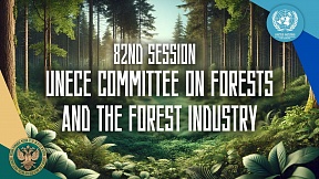 82nd Session of the UNECECommittee on Forests and the Forest Industry 82nd Session of the UNECECommittee on Forests and the Forest Industry