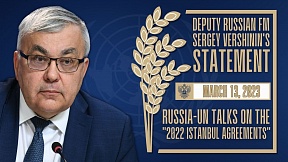 STATEMENT by Russian Deputy Foreign Minister Sergey Vershinin STATEMENT by Russian Deputy Foreign Minister Sergey Vershinin